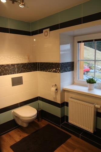 a bathroom with a toilet and a window at Chalupa Semafor in Dolní Malá Úpa