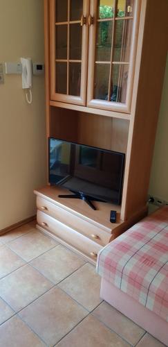 Televízia a/alebo spoločenská miestnosť v ubytovaní OKKER Apartman