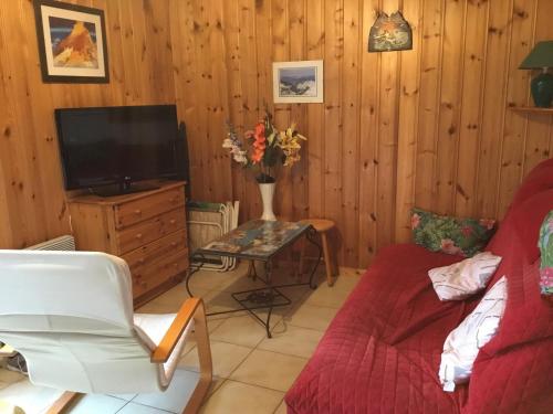 a living room with a couch and a tv at 40 Edelweiss des neiges in Morillon