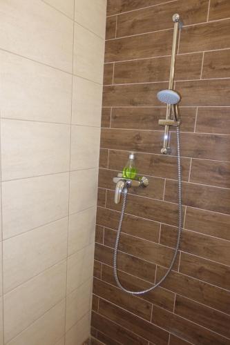 a shower with a hose in a bathroom at Frank & Fang Apartments MK7 in Budapest