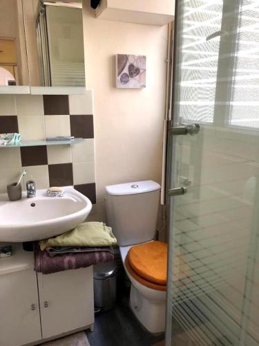 une salle de bain avec toilettes, lavabo et douche dans l'établissement L'appartement Boulnois, à Paris
