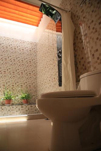 a bathroom with a toilet and a window with plants at Evila Inn - Thoddoo in Thoddoo