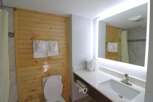 a bathroom with a toilet and a sink and a mirror at Howard Johnson by Wyndham Downtown Gatlinburg in Gatlinburg