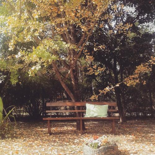 a wooden bench with a pillow sitting under a tree at Refúgio Pasárgada Guest House in Mairiporã