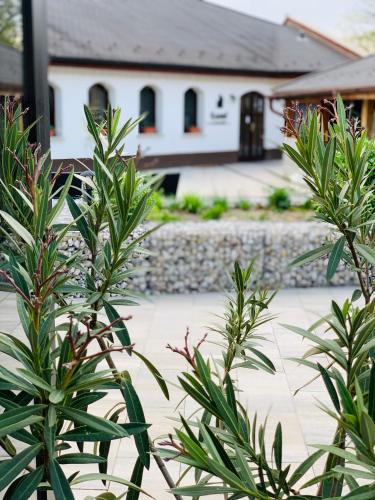 a view of a house from behind some plants at Kostel Panzió in Kesztölc