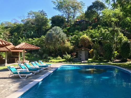 Alto Boquete的住宿－Cabanas Rio Encantado，庭院旁的游泳池,带躺椅