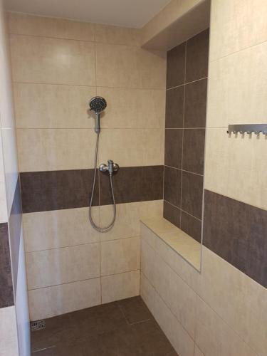 a shower with a shower head in a bathroom at Penzion ALICE in Zlín