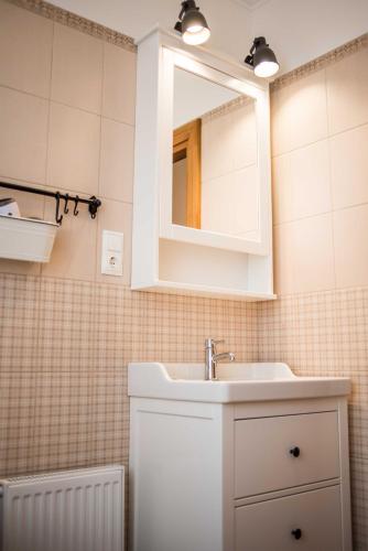 a bathroom with a sink and a mirror at Province in Cēsis