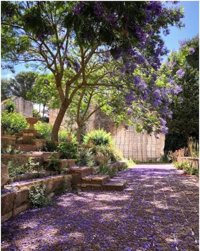 Villa Margherita Residence – Photos 3