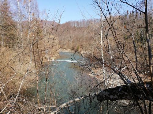 a view of a river through the trees at Leśniczówka Kalina in Wetlina