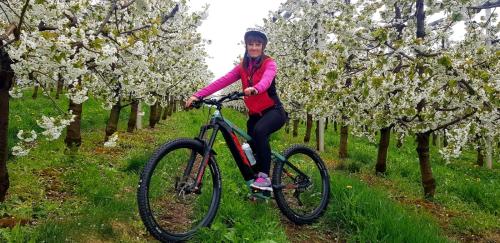 a woman riding a bike in a field with trees at Affittacamere Dolce Sogno in Coredo