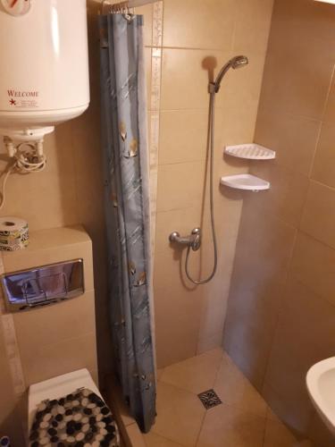 een badkamer met een douche en een wastafel bij Tajek in Stegna