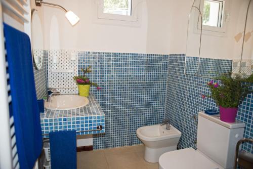 Baño de azulejos azules con aseo y lavamanos en Casa Buras, en Skinária