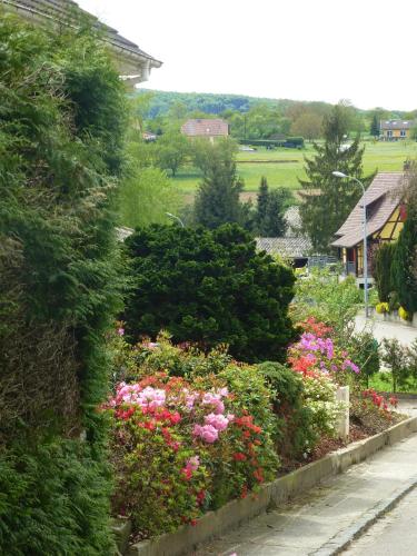 a garden with flowers and bushes on a street at La Pomme de Pin in Raedersdorf