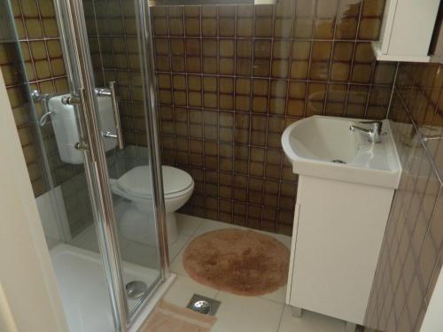 a bathroom with a shower and a toilet and a sink at Apartments Vila Palma in Medulin