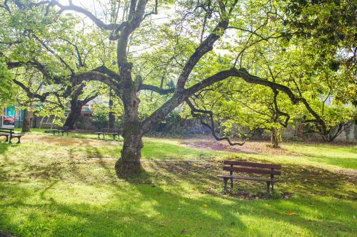 a park with benches and a tree in the grass at VILLA BONVOULOIR in Bagnères-de-Bigorre