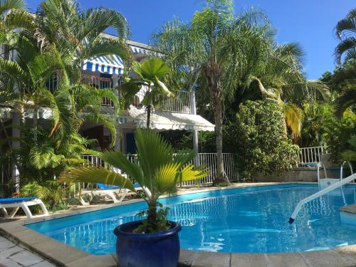 una piscina en un hotel con una palmera y una planta en Studio Bleu Lagon dans résidence avec piscine, en Le Gosier