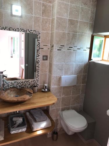 a bathroom with a sink and a toilet and a mirror at Les chambres du Bonheur in Fontaine-sous-Jouy