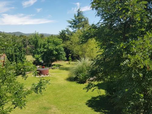 a garden with grass and trees on a field at Cabañas Abigail in Nono