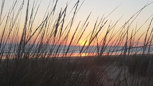 a sunset over the beach with tall grass at Hostal Patio Andaluz in Punta Umbría