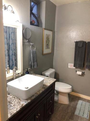 a bathroom with a white sink and a toilet at Ramsey Canyon B&B Apartment Suites in Nicksville