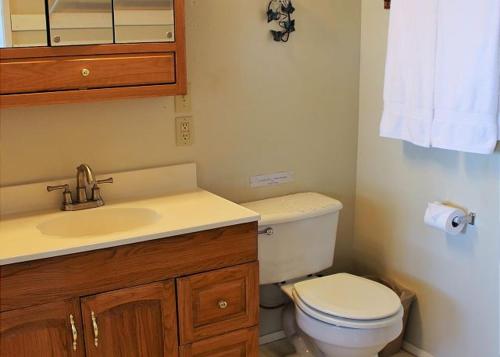 een badkamer met een wit toilet en een wastafel bij Sweet Escape & Summer Dream in Friday Harbor