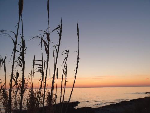a view of the ocean from the beach at sunset at Mediterranean Beach House in Umag
