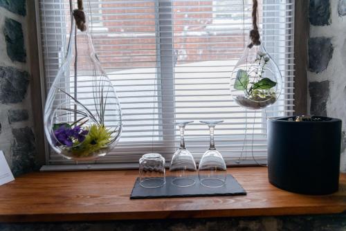 a window sill with two wine glasses and plants at Auberge aux Deux Lions in Quebec City