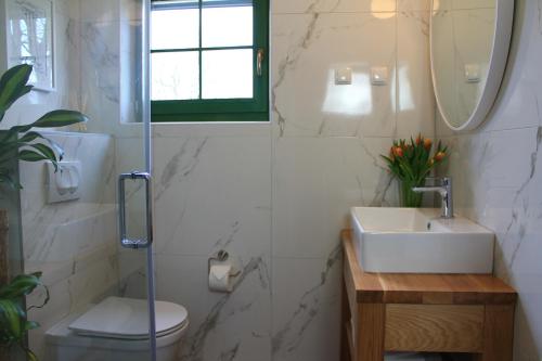 a bathroom with a sink and a toilet and a mirror at Tesla's Gastro House Plitvice in Plitvička Jezera