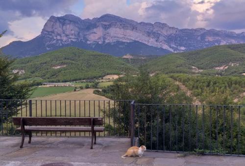 um cão deitado ao lado de um banco em frente a uma montanha em Casa Encuentra, en el Pirineo al lado de Ainsa em El Pueyo de Araguás