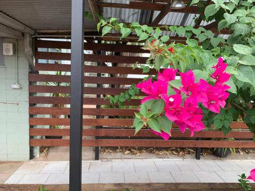 a bunch of pink flowers hanging from a wooden bench at Longreach Most Central Motel in Longreach