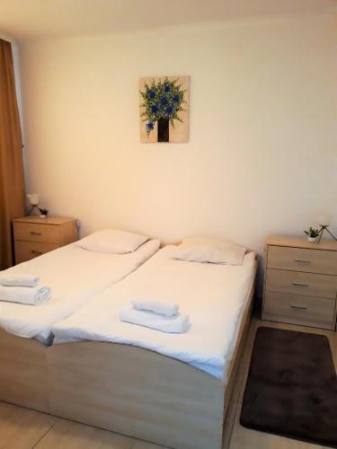 two twin beds in a room with a picture on the wall at Apartment Snezhanka in Pamporovo