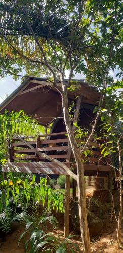 eine Holzbank vor einem Baum in der Unterkunft A Peace In Paradise in Baie Lazare, Insel Mahé