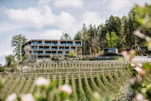 Panoramic Suites Winzerhöhe – Photos 4