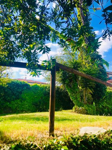 a wooden fence in a field with a tree at Hotel Bellavista in San Bartolomeo al Mare