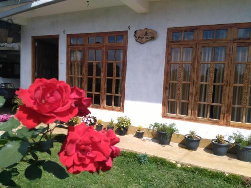a house with red flowers in the front yard at AGP home in Nuwara Eliya