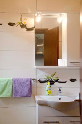 a bathroom with a sink and a mirror at Apartman Aurora in Poreč