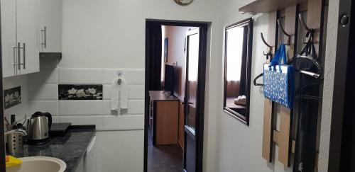 Η κουζίνα ή μικρή κουζίνα στο 7 DAYS Apartments Апартаменты в Затоке