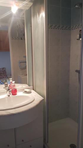 Ένα μπάνιο στο 200m du Village de Noël joli studio rénové 4 couchages parking vue mer splendide