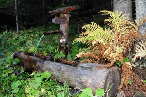 an old water fountain sitting on top of a log at Alpengasthof Moser in Karchau
