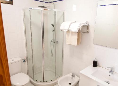 ein Bad mit einer Dusche, einem WC und einem Waschbecken in der Unterkunft 1.1 Apartamentos Arguiñan in Córdoba