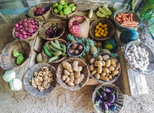 a bunch of baskets of fruits and vegetables on a table at Otentic, Eco Tent Experience in Grande Rivière Sud Est