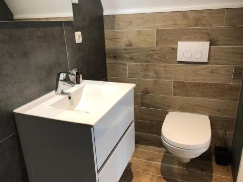 a bathroom with a white sink and a toilet at De Stadspoort appartementen in Aardenburg