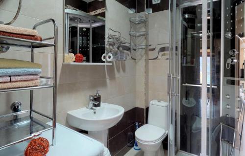 y baño con aseo, lavabo y ducha. en Apartment Stella di Cattaro, en Kotor