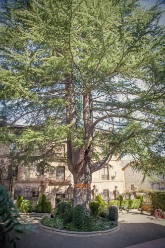 a large pine tree in front of a building at Palacio Azcárate Hotel in Ezcaray