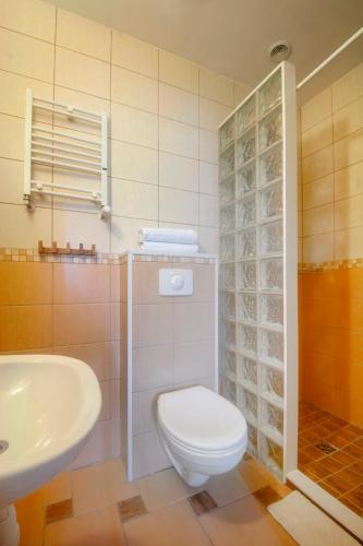 a bathroom with a toilet and a sink at Hubertus Pokoje Gościnne in Sienna