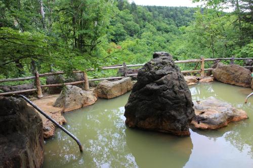 a large rock in the middle of a pool of water at Biei Shirogane Onsen AONOBI YUYU in Biei