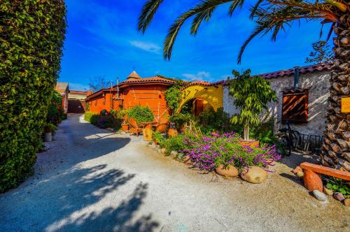 uma rua com um edifício e algumas plantas e flores em Hostal El Punto em La Serena