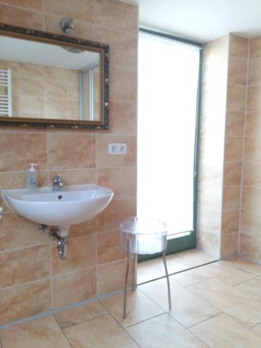 a bathroom with a sink and a mirror at Wirtshaus Sonnenhof in Radebeul