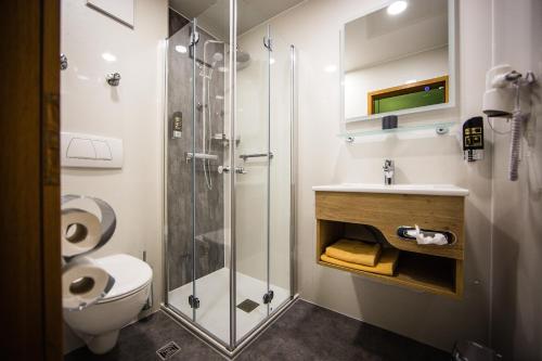 a bathroom with a shower and a toilet and a sink at Hotel Rössle in Freiberg am Neckar